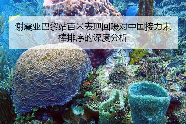 谢震业巴黎站百米表现回暖对中国接力末棒排序的深度分析 | leyu